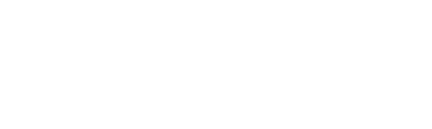 Bursa Birlik Logo